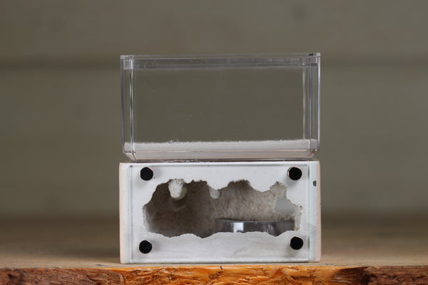Mini Hearth (Bone 1214)