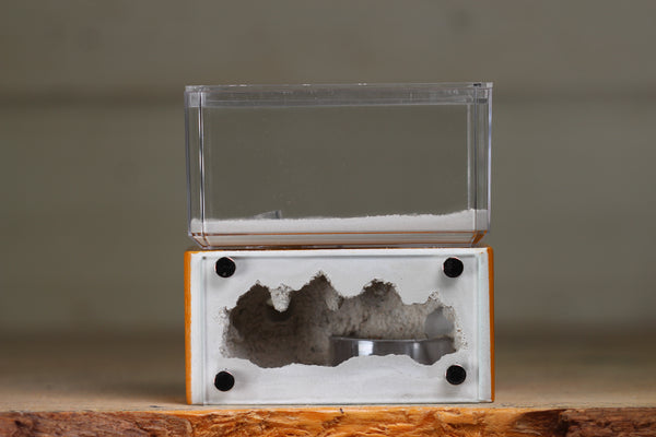 Mini Hearth (Terra 1221)