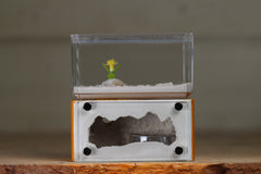 Mini Hearth (Terra 1222)