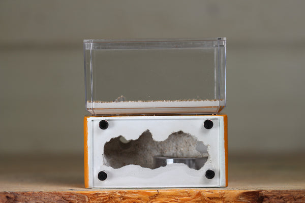 Mini Hearth (Terra 1223)