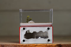 Mini Hearth (Red 1224)