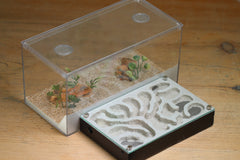 Mini Labyrinth (Black 101)