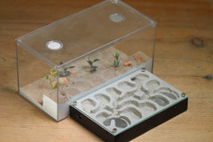 Mini Labyrinth (Black 102)