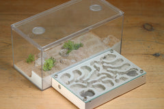 Mini Labyrinth (Bone 103)