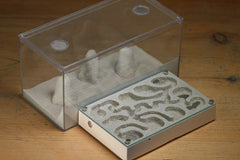 Mini Labyrinth (Bone 104)