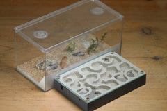 Mini Labyrinth (Grey 105)