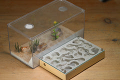 Mini Labyrinth (Beige 107)