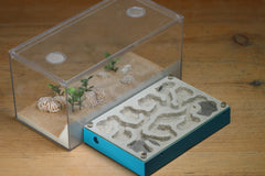 Mini Labyrinth (Aqua Blue 108)