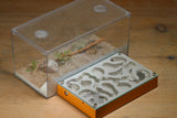 Mini Labyrinth (Terra 109)