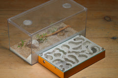 Mini Labyrinth (Terra 109)