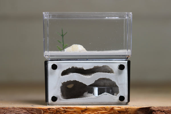 Mini Hearth, Bifurcated (Black 3900)