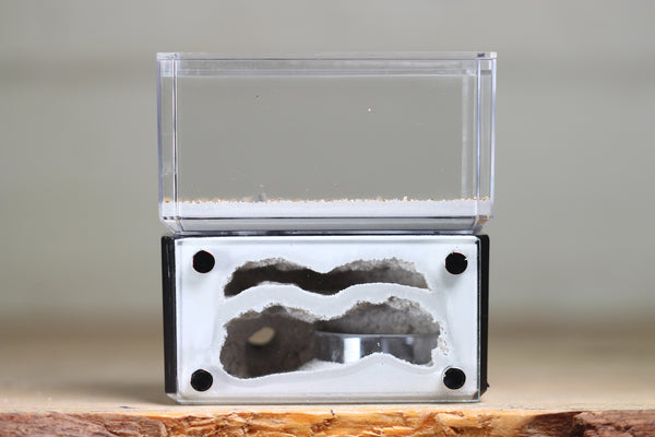 Mini Hearth, Bifurcated (Black 3904)