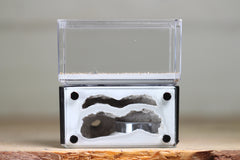 Mini Hearth, Bifurcated (Black 3904)
