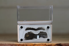 Mini Hearth, Bifurcated (Bone 3911)