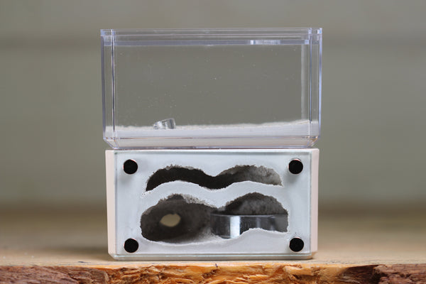 Mini Hearth, Bifurcated (Bone 3912)