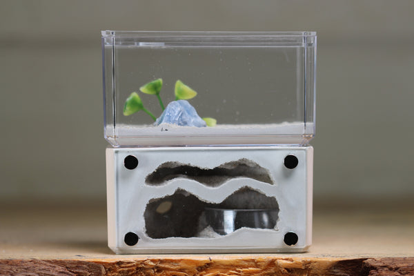 Mini Hearth, Bifurcated (Bone 3913)