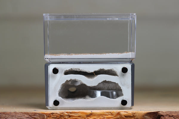 Mini Hearth, Bifurcated (Grey 3906)
