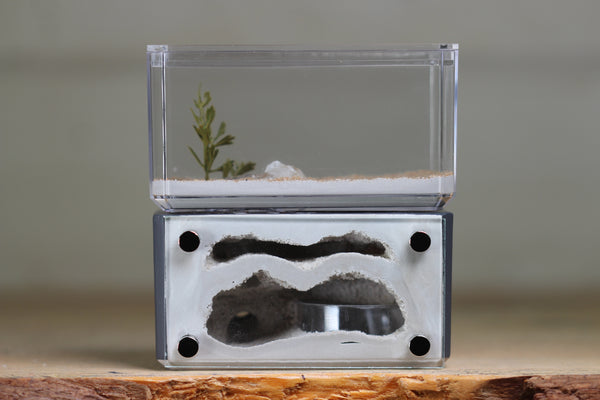 Mini Hearth, Bifurcated (Grey 3909)