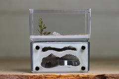 Mini Hearth, Bifurcated (Grey 3909)