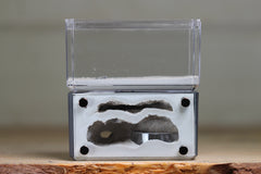 Mini Hearth, Bifurcated (Grey 3907)