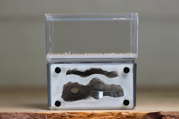Mini Hearth, Bifurcated (Grey 3908)