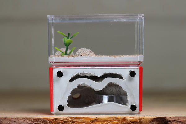 Mini Hearth, Bifurcated (Red 3915)