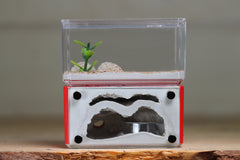 Mini Hearth, Bifurcated (Red 3915)