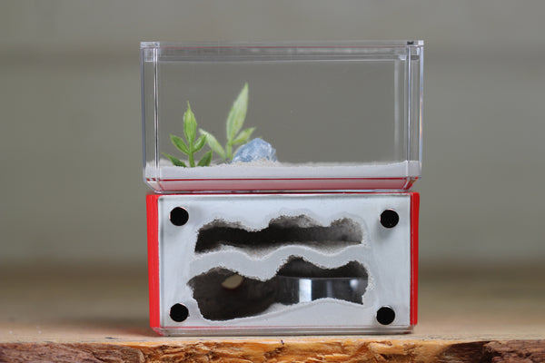 Mini Hearth, Bifurcated (Red 3916)