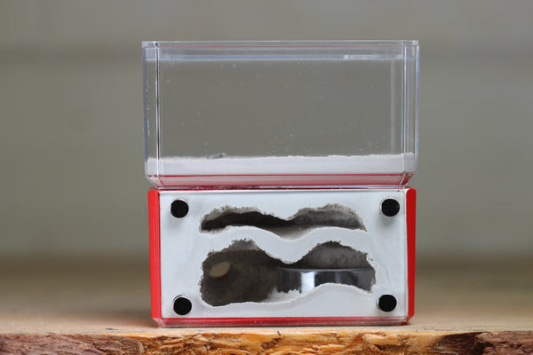 Mini Hearth, Bifurcated (Red 3917)