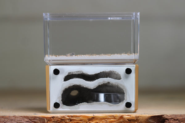 Mini Hearth, Bifurcated (Brown 3921)