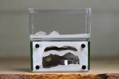 Mini Hearth, Bifurcated (Dark Green 3922)