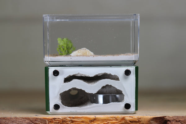 Mini Hearth, Bifurcated (Dark Green 3923)