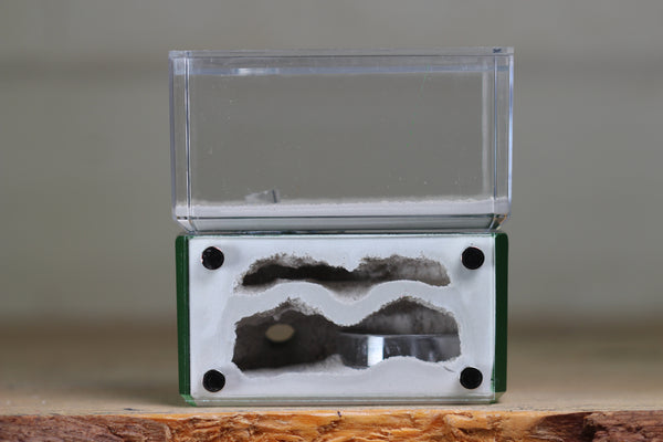 Mini Hearth, Bifurcated (Dark Green 3924)