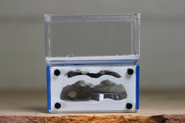 Mini Hearth, Bifurcated (Dark Blue 3925)
