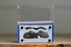 Mini Hearth, Bifurcated (Dark Blue 3925)