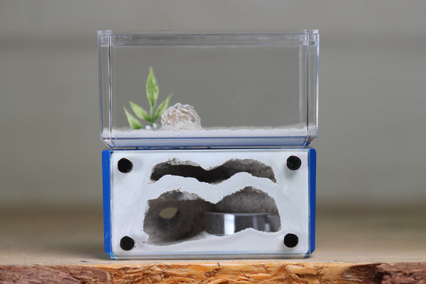 Mini Hearth, Bifurcated (Dark Blue 3926)