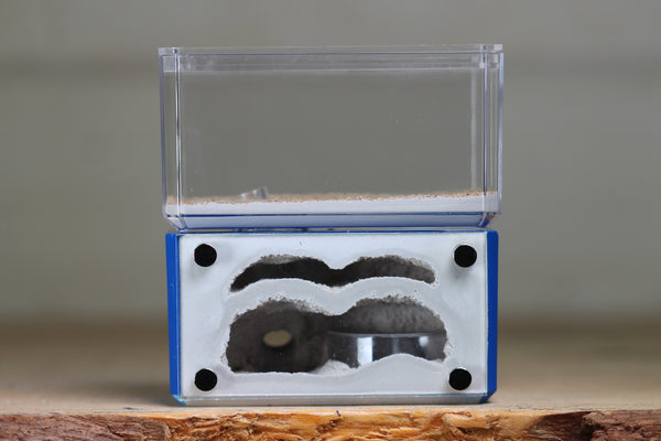 Mini Hearth, Bifurcated (Dark Blue 3927)