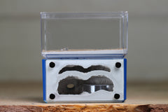 Mini Hearth, Bifurcated (Dark Blue 3927)
