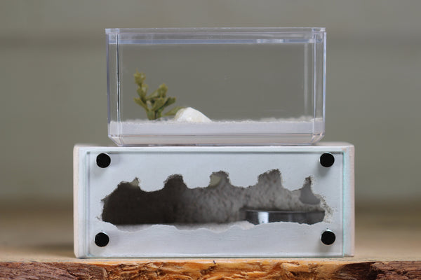 Mini Hearth XL (Bone 4031)