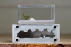 Mini Hearth XL (Bone 4031)