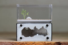 Mini Hearth (Black 1250)