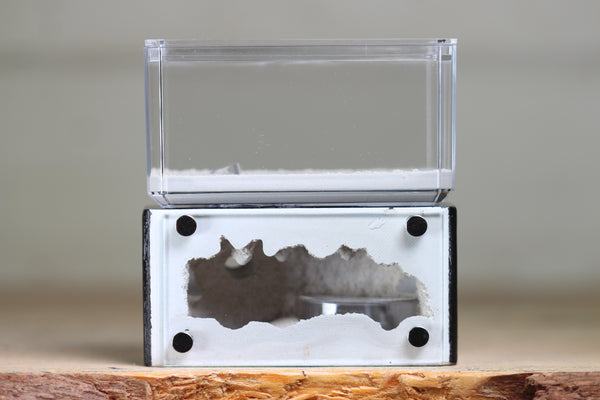 Mini Hearth (Black 1252)