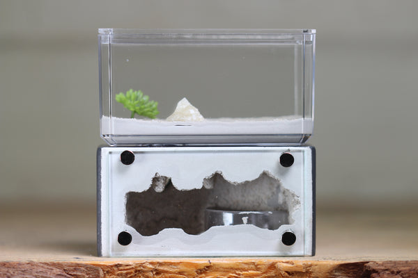 Mini Hearth (Grey 1256)