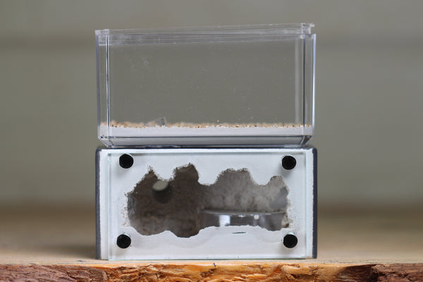 Mini Hearth (Grey 1258)