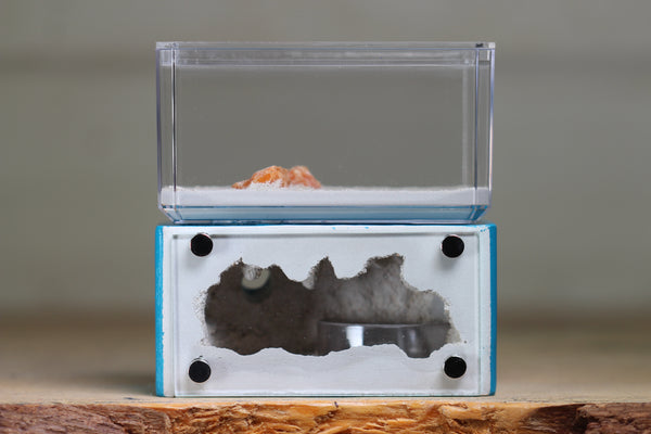 Mini Hearth (Aqua Blue 1261)
