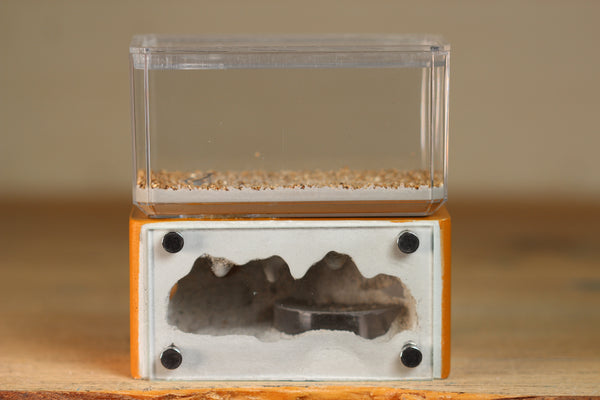 Mini Hearth (Terra 00043)