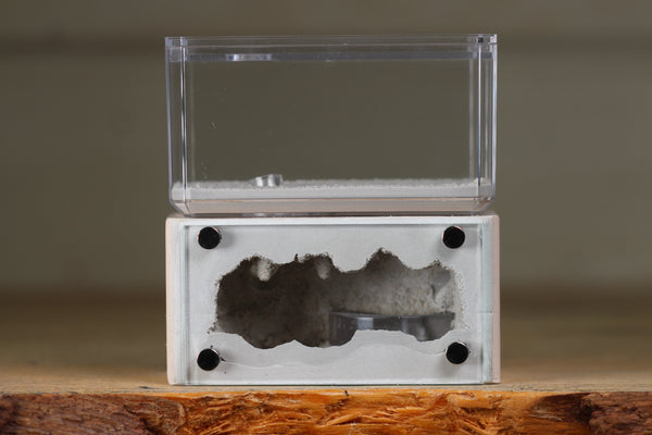 Mini Hearth (Bone 1403)