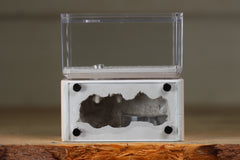 Mini Hearth (Bone 1403)