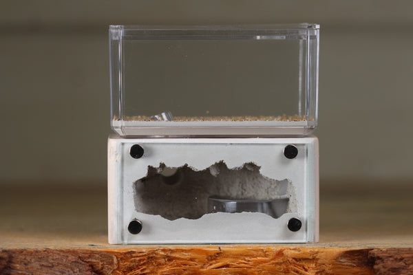Mini Hearth (Bone 1404)