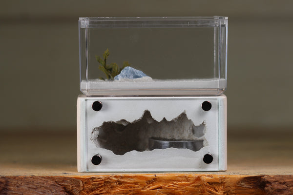 Mini Hearth (Bone 1407)